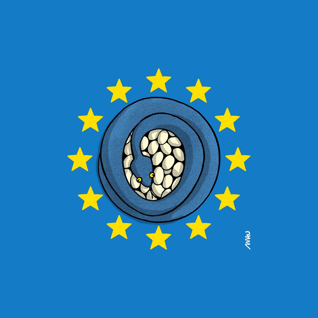 charge - sobre um fundo azul, doze estrelas amarelas formam um círculo, dentro do círculo uma serpente está enrolada, protegendo seus ovos.