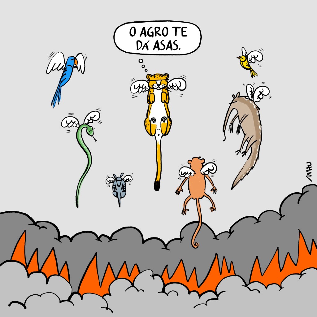charge - sobre fumaça e fogo, uma arara, um passarinho, uma onça, um macaco, um tamanduá, uma cobra e um tatu voam, com asinhas de anjo. a onça está pensando: o agro te dá asas.
